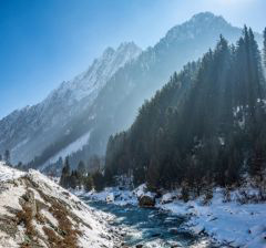 5 night 6 days kashmir family package